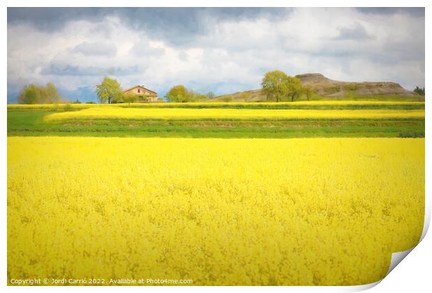 Yellow Fields of Malla - CR2105-5277-PIN Print by Jordi Carrio