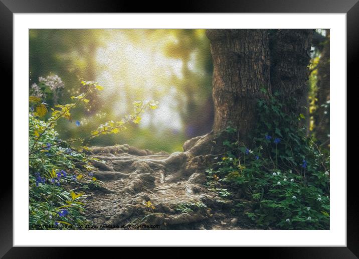 Magical woodland Framed Mounted Print by Dawn Cox