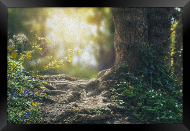 Magical woodland Framed Print by Dawn Cox
