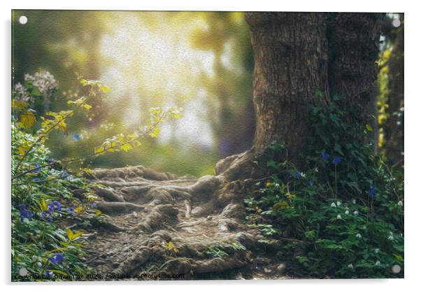 Magical woodland Acrylic by Dawn Cox