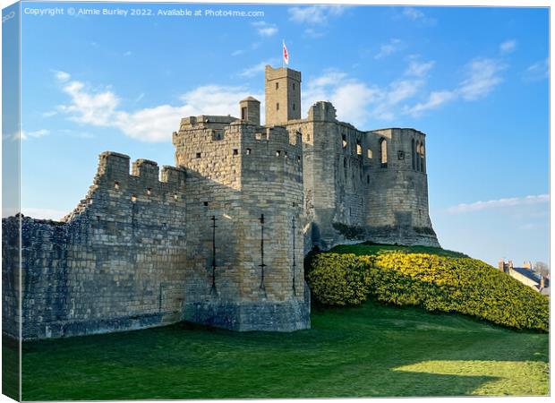Castle in the daffodils  Canvas Print by Aimie Burley