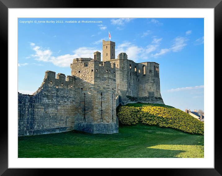 Castle in the daffodils  Framed Mounted Print by Aimie Burley