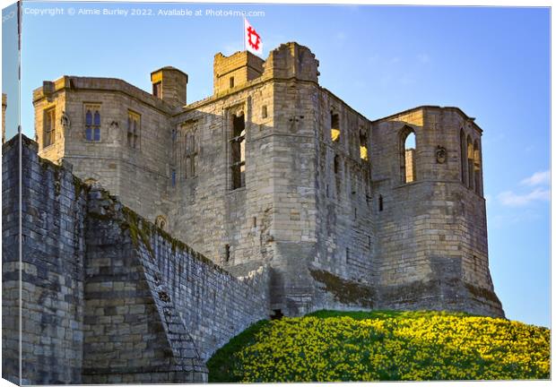 Warkworth in spring Canvas Print by Aimie Burley