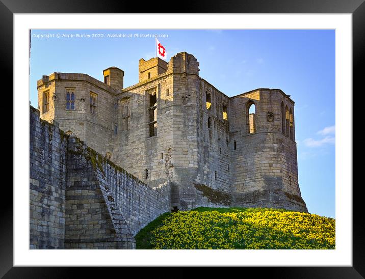 Warkworth in spring Framed Mounted Print by Aimie Burley