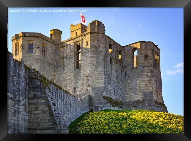 Warkworth in spring Framed Print by Aimie Burley