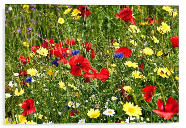 Colourful Wild Flowers Acrylic by Jim Jones