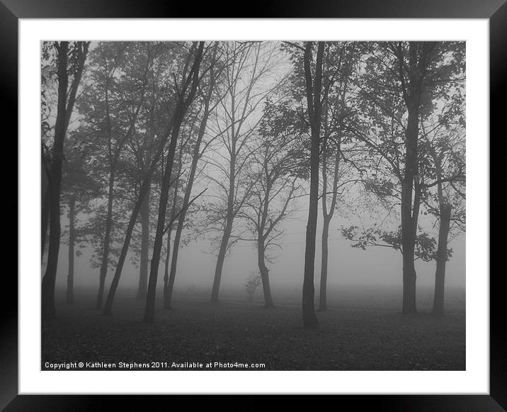 Trees in the Mist Framed Mounted Print by Kathleen Stephens