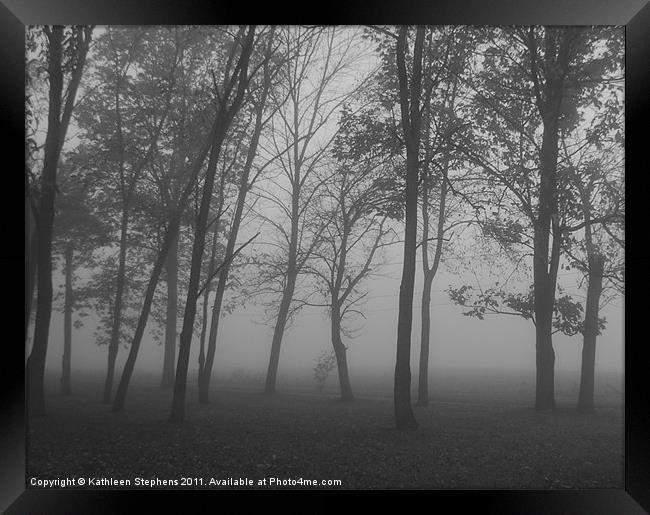 Trees in the Mist Framed Print by Kathleen Stephens