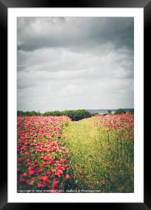 Grass Track Through Poppy Fields Framed Mounted Print by Peter Greenway