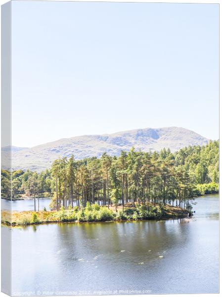 Tarn Hows In The Lake District - Trees On An Islan Canvas Print by Peter Greenway