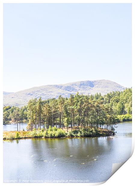 Tarn Hows In The Lake District - Trees On An Islan Print by Peter Greenway