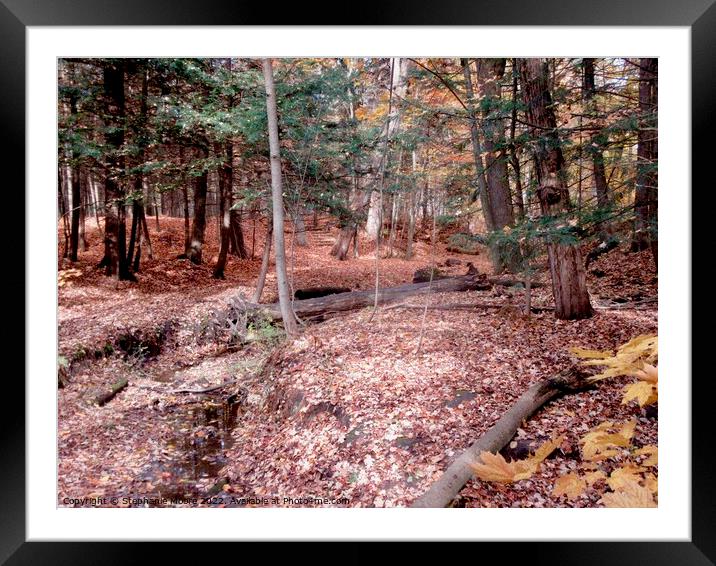 Forest Framed Mounted Print by Stephanie Moore