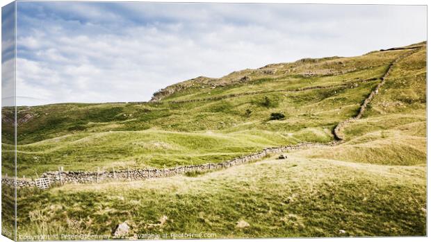 Dry Stone Wall At Honiston Pass, Lake District Canvas Print by Peter Greenway
