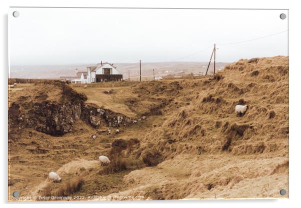 Northern Irish Countryside, County Antrim On A Rai Acrylic by Peter Greenway