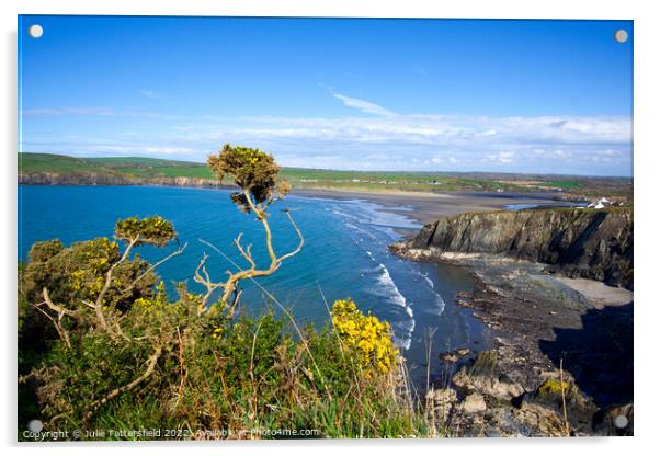 Pembrokeshire beautiful coast Acrylic by Julie Tattersfield