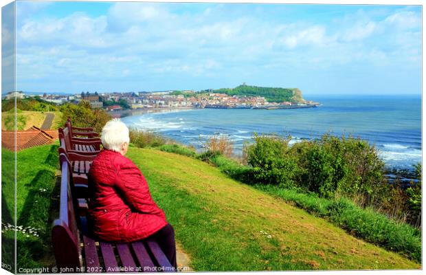 Scarborough cliff top view, Yorkshire. Canvas Print by john hill