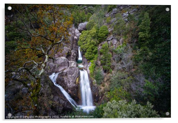 Cascata do Arado Acrylic by DiFigiano Photography