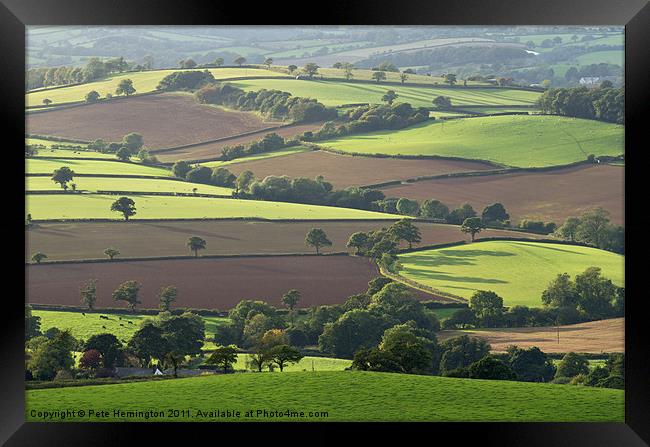 Mid Devon fields Framed Print by Pete Hemington