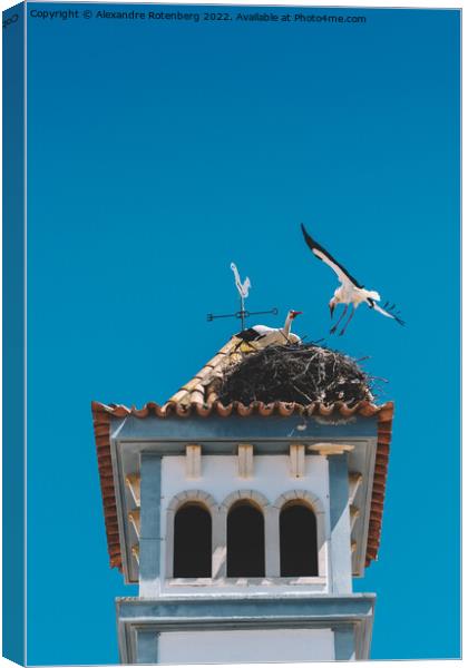 Two White Storks nesting on a Bell Tower  Canvas Print by Alexandre Rotenberg