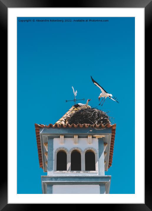 Two White Storks nesting on a Bell Tower  Framed Mounted Print by Alexandre Rotenberg