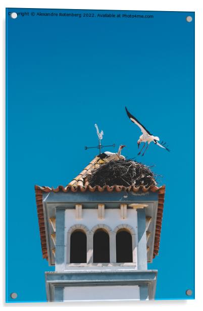 Two White Storks nesting on a Bell Tower  Acrylic by Alexandre Rotenberg