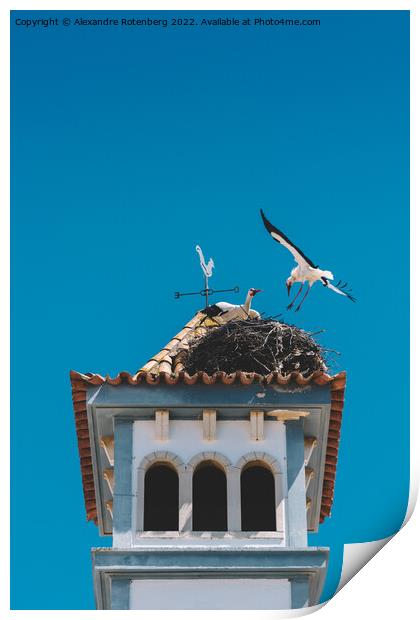 Two White Storks nesting on a Bell Tower  Print by Alexandre Rotenberg