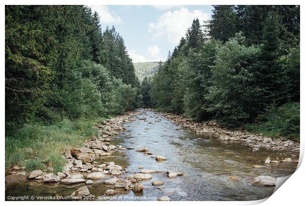 Outdoor river running through a forest Print by Veronika Druzhnieva