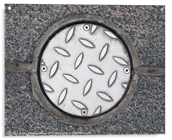 Manhole lid Acrylic by Wood Stocker