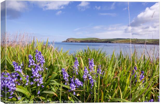 Bluebells by the sea Pembrokeshire Canvas Print by Julie Tattersfield