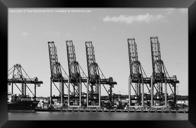 Port of Felixstowe Cranes Black and Whte Framed Print by Pearl Bucknall