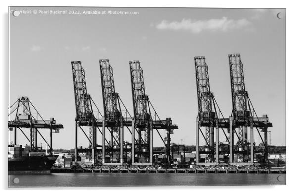 Port of Felixstowe Cranes Black and Whte Acrylic by Pearl Bucknall