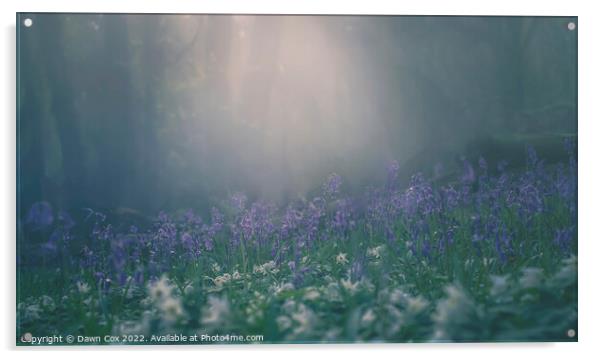 fairy woodland  Acrylic by Dawn Cox