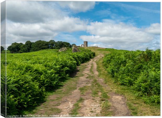 The path to Old John, Bradgate Park, Leicestershire Canvas Print by Photimageon UK