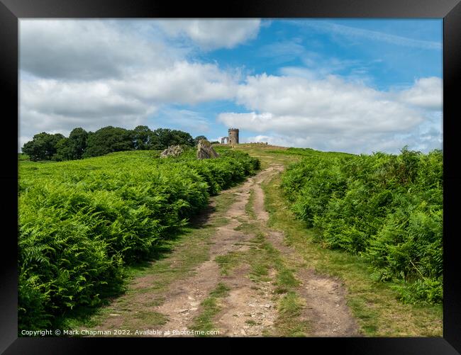 The path to Old John, Bradgate Park, Leicestershire Framed Print by Photimageon UK