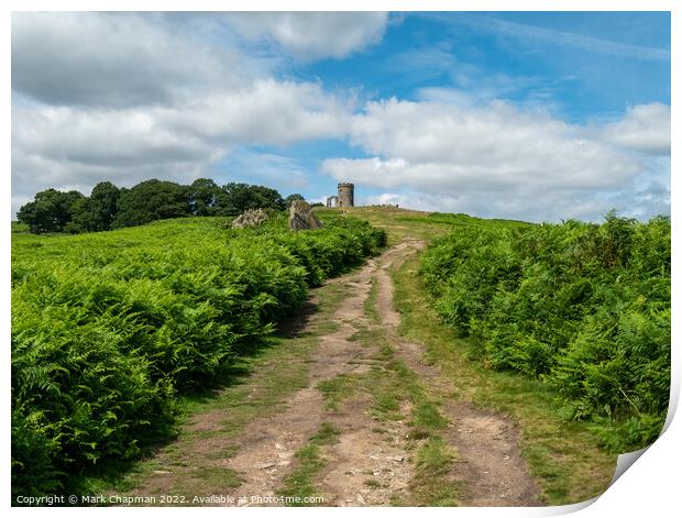 The path to Old John, Bradgate Park, Leicestershire Print by Photimageon UK