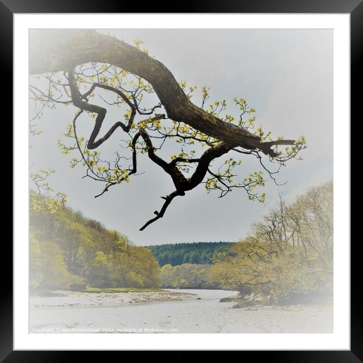 Spring On the Lerryn River. Framed Mounted Print by Neil Mottershead