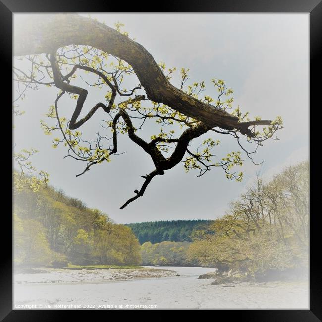 Spring On the Lerryn River. Framed Print by Neil Mottershead