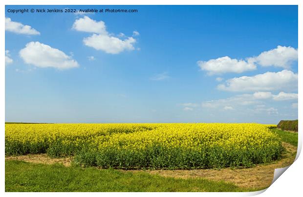 Rape Seed Oil Crop Vale of Glamorgan  Print by Nick Jenkins