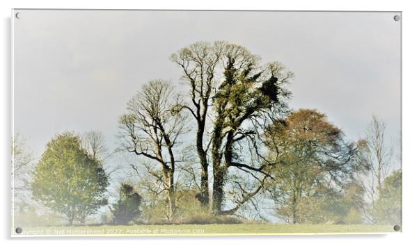 Trees On The Ethy Estate, Lerryn. Acrylic by Neil Mottershead