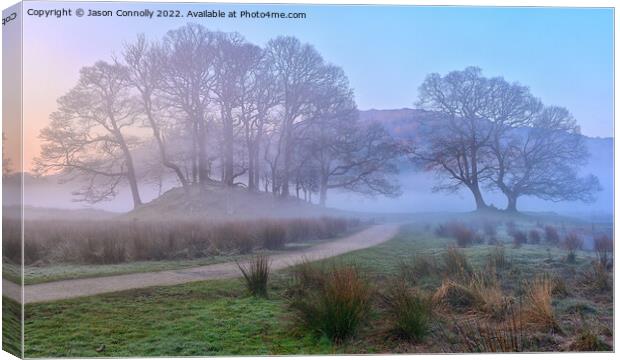 Misty Morning Trees At Elterwater Canvas Print by Jason Connolly