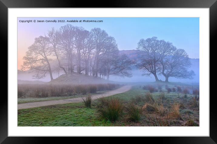 Misty Morning Trees At Elterwater Framed Mounted Print by Jason Connolly