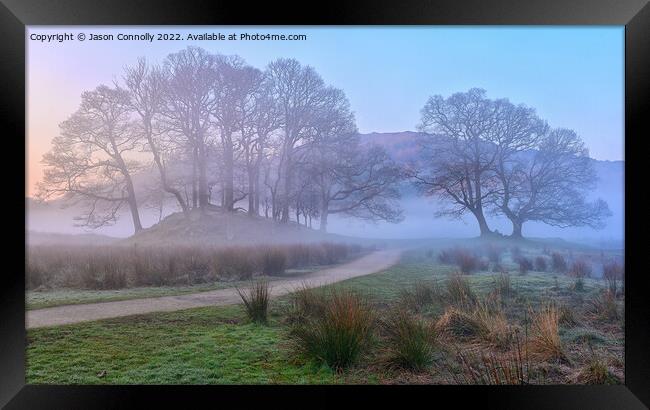 Misty Morning Trees At Elterwater Framed Print by Jason Connolly