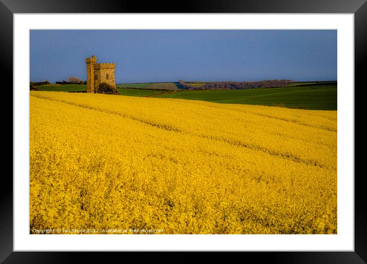 Field of Gold Framed Mounted Print by Ian Stone