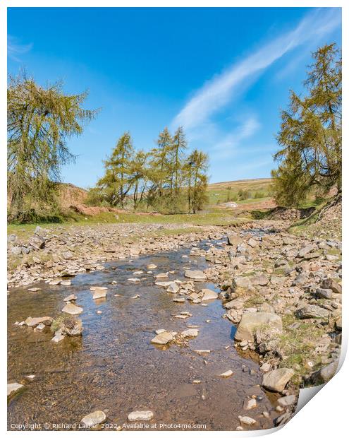 Hudeshope Beck at Skears Hushes, Teesdale (2) Print by Richard Laidler