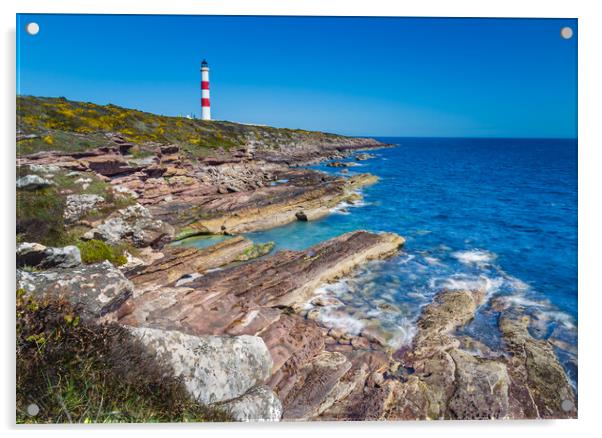 Tarbat Ness Lighthouse - Portmahomack Acrylic by John Frid