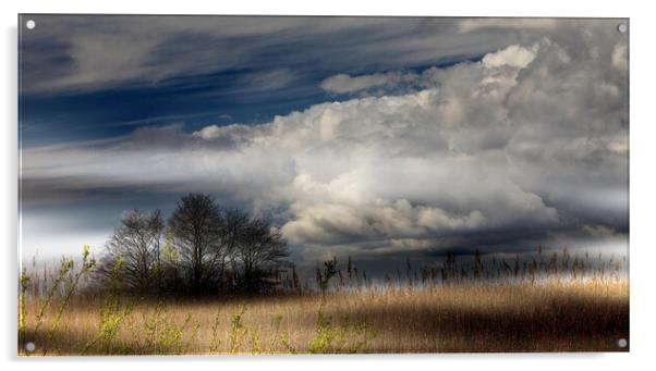 Low storm clouds  Acrylic by paul holt