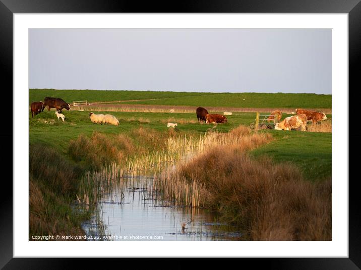Spring Life on the Level Framed Mounted Print by Mark Ward