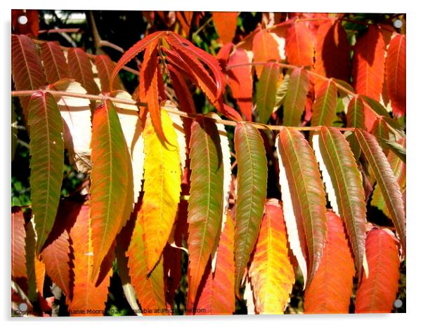 Sumac Leaves Acrylic by Stephanie Moore