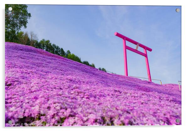 The beautiful Shiba Sakura Acrylic by Chon Kit Leong