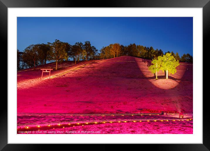 The beautiful Shiba Sakura Framed Mounted Print by Chon Kit Leong